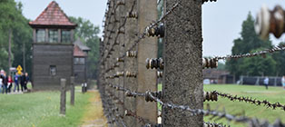  Auschwitz - Birkenau Memorial Tour